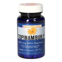 TOPINAMBUR P 400 mg GPH Kapseln